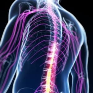Neuromuscular Disorders Treatment in Hyderabad - Dr Soumya Reddy Neurologist Hyderabad -CANES Clinic