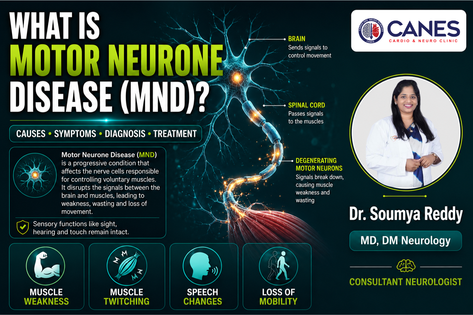 What Is Motor Neurone Disease? Understanding the Causes, Symptoms, Diagnosis, and Treatment